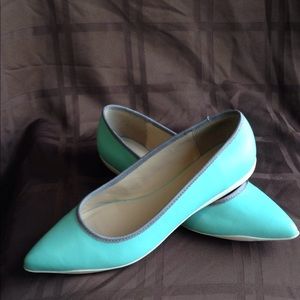 Logo By Lori Goldstein pointed Toe Ballerina Flats